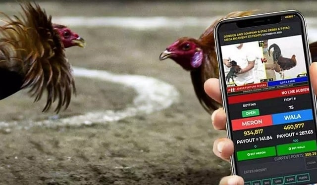 Quyền hạn của người chơi Quyền hạn của người chơi