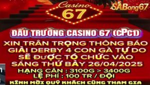 GIẢI ĐÁ GÀ TỰ DO BỒ C1 26/4/2025