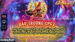 Giải đá gà bồ CPC3 4/5/2025