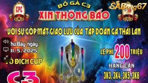 Giải Đá Gà Vô Địch Cúp C3 Ngày 31/5/2025
