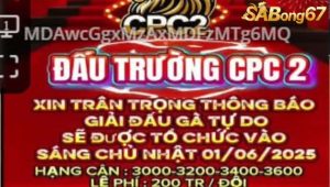 Giải Đấu Gà Tự Do Bồ C2 1/6/2025