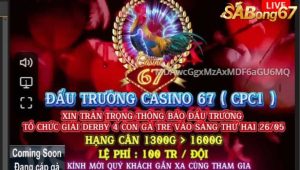 Giải Derby 4 Con Gà Tre Bồ CPC1 Ngày 26/5/2025