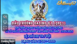 Giải gà tự do bồ C1 15/5/2025