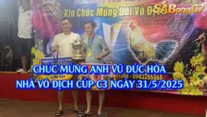 Nhà Vô Địch Giải Đá Gà Cúp C3 Ngày 31/5/2025