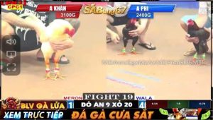 Trận 19 cpc1 8/5/2025