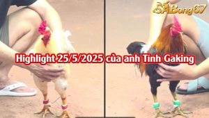 Video 3 Trận Thắng Nhận 2000 USD