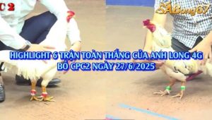 6 Trận Bất Bại Của Anh Long 4G