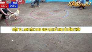 Trận 10 Bồ Dinh Bà 21/6/2025