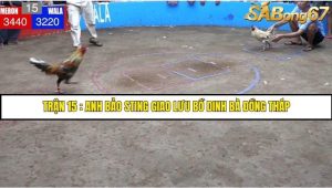 Trận 15 Anh Bảo Sting và Campuchia