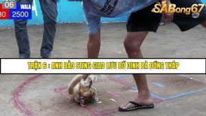 Trận 6 Anh Bảo Sting và Campuchia