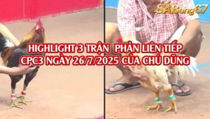 3 Trận Phản Liên Tiếp Của Chú Dũng Đực