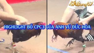 3 Trận Thắng Nhận 1000$ Bồ Gà C3 Ngày 30/7/2025