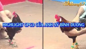 3 Trận Thắng Nhận 1000USD Bồ C3 31/7/2025