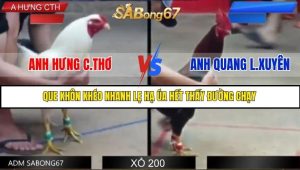 Trận 1 Bồ Gà Tonhon Ngày 18/7/2025