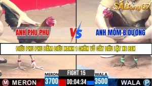 Trận 15 Bồ Gà C3 Ngày 12/7/2025