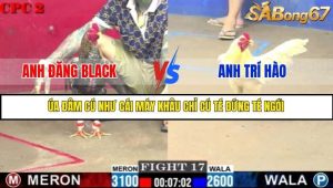 Trận 17 Bồ Gà C2 2/7/2025