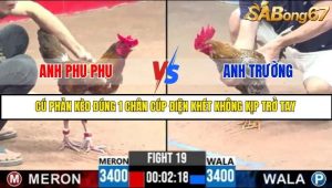 Trận 19 Bồ Gà C3 Ngày 5/7/2025