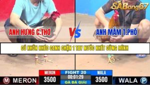 Trận 20 Bồ Gà C3 6/7/2025