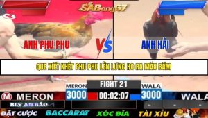 Trận 21 Bồ Gà C3 Ngày 12/7/2025