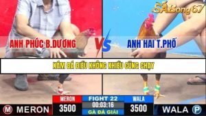 Trận 22 Bồ Gà C3 6/7/2025