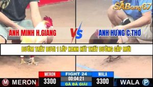 Trận 24 Bồ Gà C2 Ngày 27/7/2025