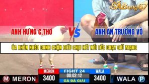 Trận 24 Bồ Gà C3 6/7/2025