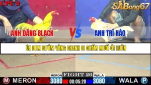 Trận 26 Bồ Gà C2 2/7/2025