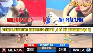 Trận 28 Bồ Gà C3 6/7/2025