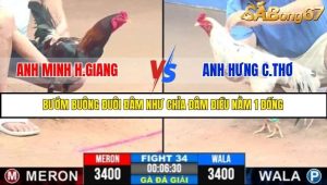 Trận 34 Bồ Gà C3 Ngày 27/7/2025