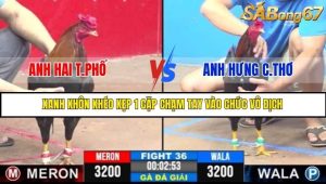 Trận 36 Bồ Gà C3 6/7/2025