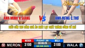 Trận 36 Bồ Gà C3 Ngày 27/7/2025