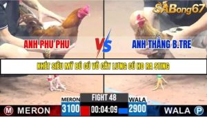 Trận 48 Bồ Gà C3 Ngày 12/7/2025