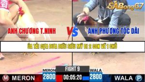 Trận 9 Bồ Gà C3 Ngày 17/7/2025