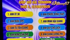 Giải đá gà bồ Tonhon 27/8/2025