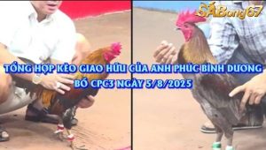 Kèo Giao Lưu Của Anh Phúc Bình Dương