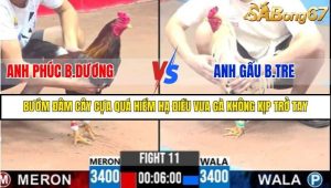 Trận 11 Bồ Gà C3 Ngày 5/8/2025