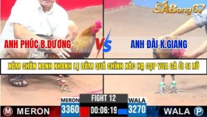 Trận 12 Bồ Gà C3 Ngày 5/8/2025