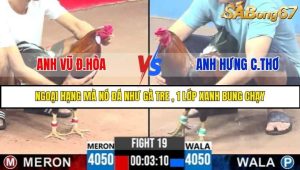 Trận 19 Bồ Gà C3 Ngày 5/8/2025