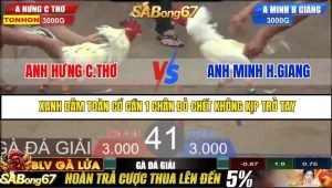 Trận 41 Bồ Gà Tonhon 27/8/2025