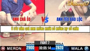 Trận 7 Bồ Gà C3 Ngày 1/8/2025