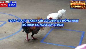 Trọng Tài Xử Ép Tại Bồ Dinh Bà Ngày 30/8/2025