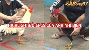 Video 3 trận thắng nhận 20 triệu bồ C4 ngày 16/8/2025