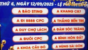 Danh sách đội tham dự giải bồ gà Tonhon ngày12/9/2025