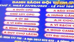 giải đá gà cúp Tonhon ngày 27/9/2025