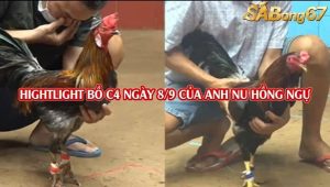 Tổng hợp 6 trận thắng của anh Nu Hồng Ngự