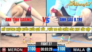 Trận 27 Bồ Gà C3 ngày 25/5/2025