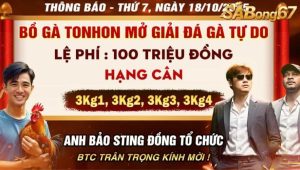 Anh Bảo Sting Đồng tổ chức giải