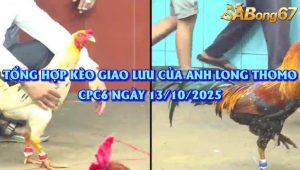 anh Long Thomo ngày 13/10/2025