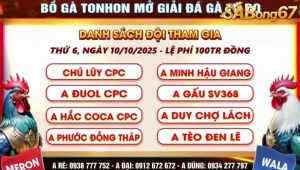 Danh sách đội tham dự giải đá gà cúp Tonhon ngày 10/10/2025