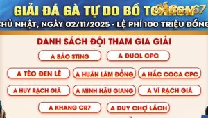 Giải Đá Gà Tự Do Bồ Tonhon Ngày 2/11/2025
